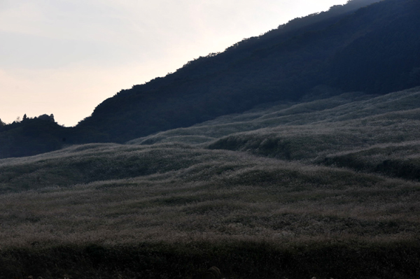 13 1018 DSC_0648.jpg